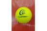 USED Cochlear Physio Ball